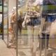Interiors of shopping centres